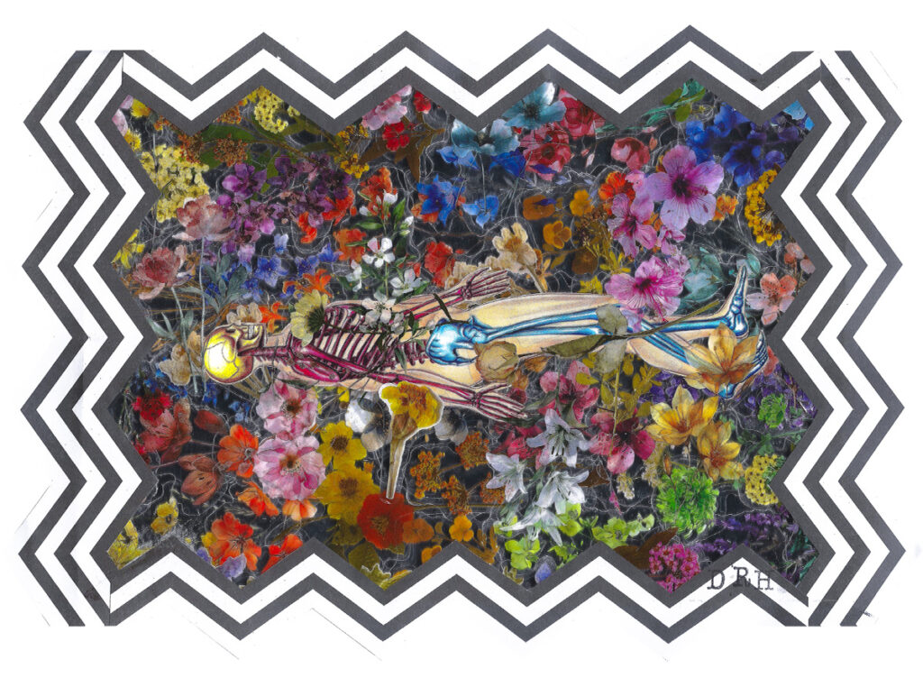 daniela_romero_cuando_aparecen_las_flores