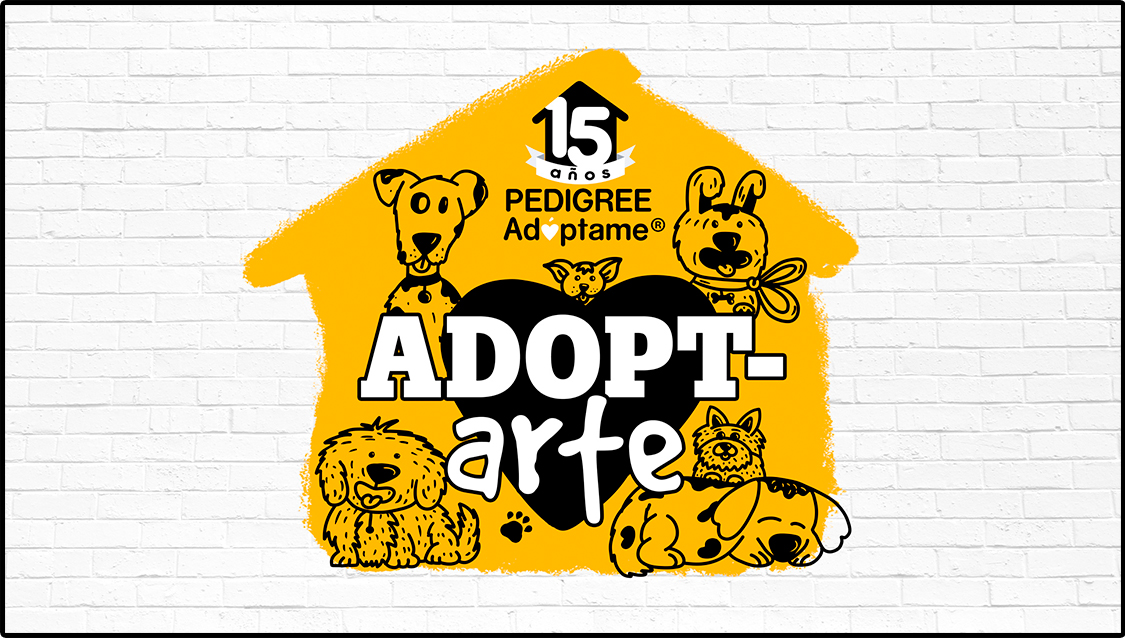 adoptar_pedigree_3_daniela_romero
